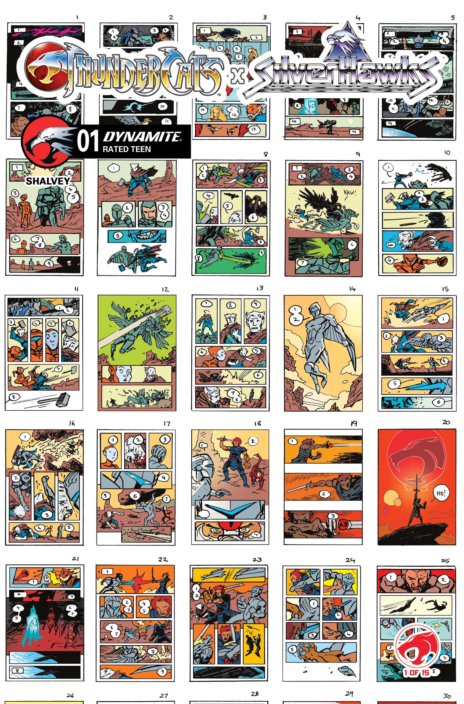 THUNDERCATS X SILVERHAWKS #1 CVR I INC 1:10 DECLAN SHALVEY LAYOUTS VAR