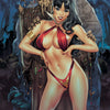 VAMPIRELLA (2026) #1 CVR I INC 1:10 ELIAS CHATZOUDIS VIRGIN VAR