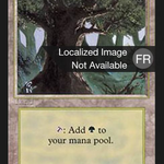 Forest (FBB-304) - Foreign Black Border