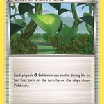 Forest of Giant Plants 074/98 - XY  Ancient Origins