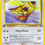 Pidgeot 024/64 - Jungle 1st Edition