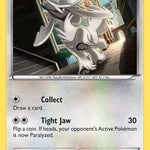Furfrou 095/122 - XY  BREAKpoint