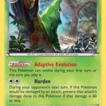 Metapod 004/83 - Generations