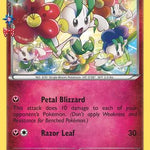 Floette RC18/RC32 - Generations Radiant Collection Holofoil