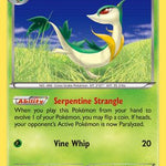Servine 006/124 - XY  Fates Collide