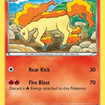Rapidash 017/114 - XY  Steam Siege