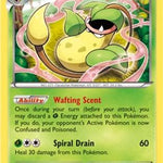 Victreebel (XY Furious Fists) 003/111 - Deck Exclusives