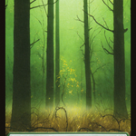 Forest (2XM-381) - Double Masters