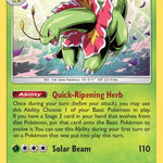 Meganium 008/214 - SM  Lost Thunder Holofoil