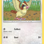 Pidgey 121/181 - SM  Team Up