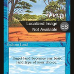 Phantasmal Terrain (4BB-089) - Fourth Edition Foreign Black Border