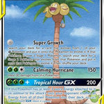 Rowlet & Alolan Exeggutor GX (Alternate Full Art) 215/236 - SM  Unified Minds Holofoil