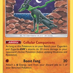 Zygarde 124/236 - SM  Unified Minds