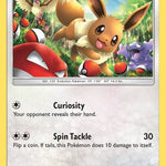 Eevee 048/68 - Hidden Fates Holofoil