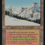 Taiga (FBB-) - Foreign Black Border
