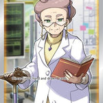 Professor's Research (Full Art) 201/202 - SWSH01 Sword & Shield Base Set Holofoil