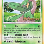 Tropius 052/111 - Nintendo Promos