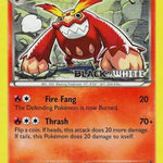 Darmanitan 025/114 - Black and White Promos - Holofoil