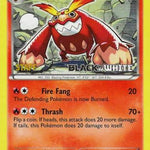 Darmanitan (Prerelease) [Staff] 025/114 - Black and White Promos Holofoil
