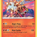 Entei 019/203 - SWSH07 Evolving Skies Holofoil