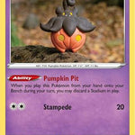 Pumpkaboo 076/203 - SWSH07 Evolving Skies