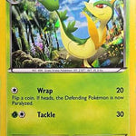 Servine (Cracked Ice Holo) 003/114 - Miscellaneous Cards & Products Holofoil