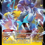 Raikou V 048/172 - SWSH09 Brilliant Stars Holofoil