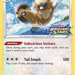 Bibarel SWSH188/307 - SWSH Sword & Shield Promo Cards Holofoil