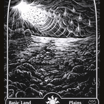 Plains (VOW-269) - Innistrad: Crimson Vow: (Showcase)