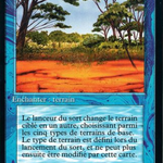 Phantasmal Terrain (FBB-070) - Foreign Black Border