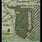 Forest (LTR-280) - The Lord of the Rings: Tales of Middle-earth