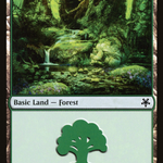 Forest (GN3-135) - Game Night: Free-for-All