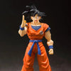 Dragon Ball Z S.H.Figuarts Goku action figure from THE MIGHTY HOBBY SHOP, detailed pose with iconic Saiyan costume and expressive face