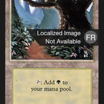 Forest (FBB-305) - Foreign Black Border