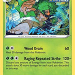 Rillaboom SWSH277/307 - SWSH Sword & Shield Promo Cards Holofoil