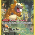 Bidoof GG29/GG70 - Crown Zenith Galarian Gallery Holofoil