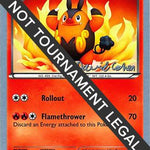 Pignite 2011 (David Cohen) 018 - World Championship Decks
