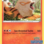Arcanine (Illustration Contest 2022) SWSH304 - SWSH Sword & Shield Promo Cards
