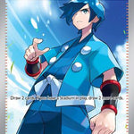 Falkner 251/193 - SV02 Paldea Evolved Holofoil