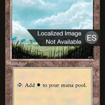 Plains (4BB-365) - Fourth Edition Foreign Black Border