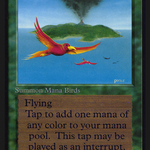 Birds of Paradise (CED-) - Collectors' Edition