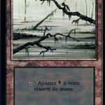 Swamp (FBB-300) - Foreign Black Border