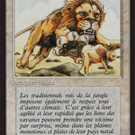 Savannah Lions (FBB-039) - Foreign Black Border