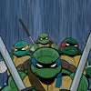 Teenage Mutant Ninja Turtles #18 Variant RI (25) (Edgar)[1:25]