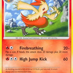 Combusken 045/127 - Platinum