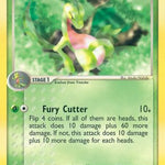 Grovyle 031/97 - Dragon