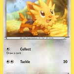 Lillipup 081/114 - Black and White