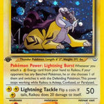 Raikou 013/64 - Neo Revelation 1st Edition Holofoil