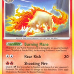 Rapidash 022/100 - Stormfront
