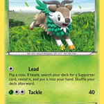 Skiddo 018/146 - XY Base Set